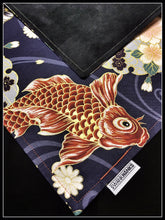 Koi